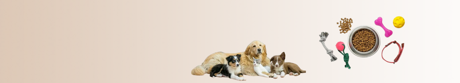 slider image 1621243260e1af0c20-0